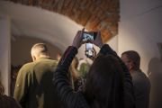 "... w pień", fot. Artur Należyty